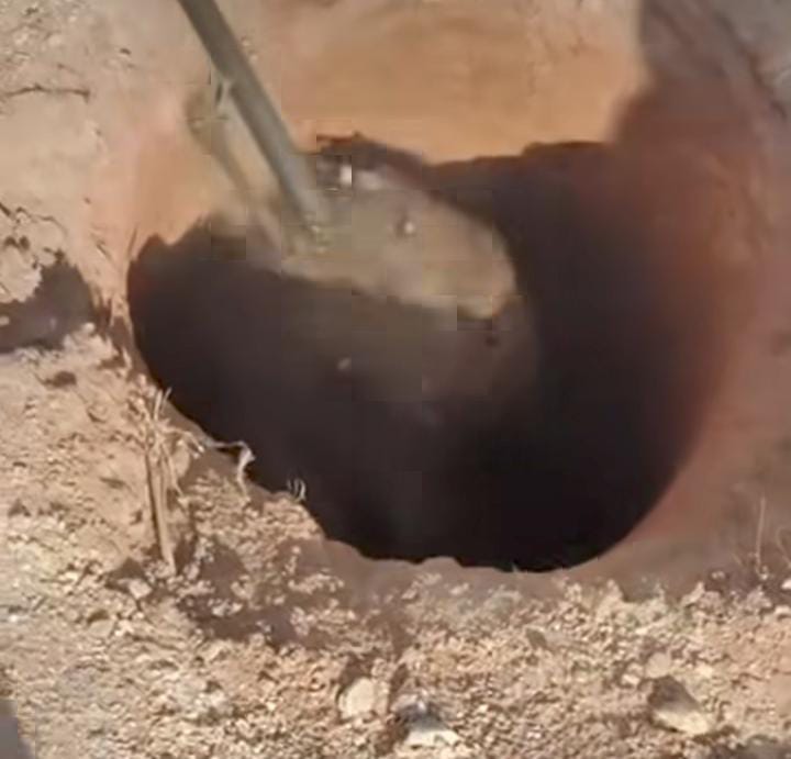  Bombeiros resgatam capivara caída em buraco em obra